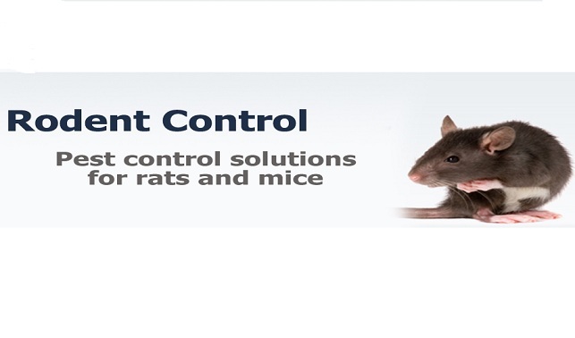  New Album of Pest Control & Exterminator of Orange County 212 S. Orange Ave #203 - Photo 3 of 5