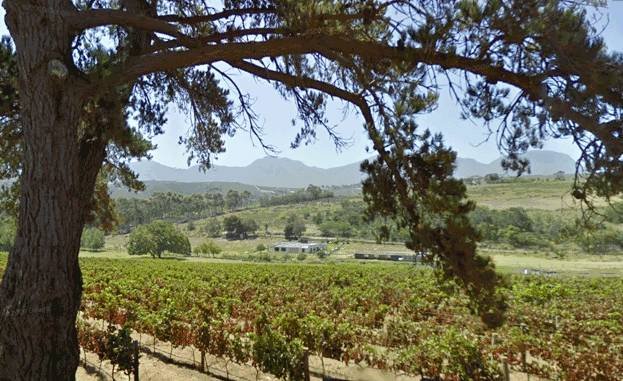  Profile Photos of Earth Cottage Self-catering, Hermanus Mountain Rose Drive, Hemel-en-Aarde Valley - Photo 2 of 7