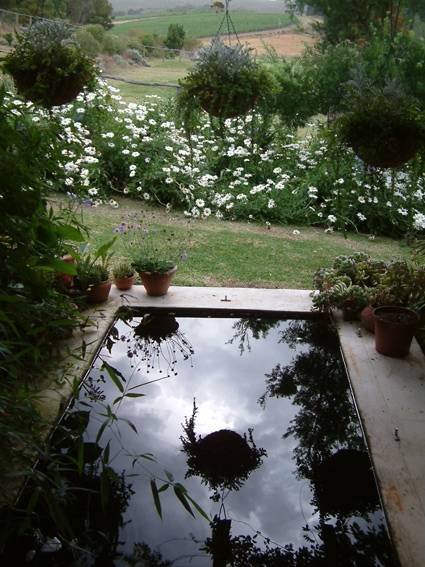  Profile Photos of Earth Cottage Self-catering, Hermanus Mountain Rose Drive, Hemel-en-Aarde Valley - Photo 3 of 7