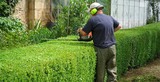 DR Gardens & Trees, Southend-on-Sea
