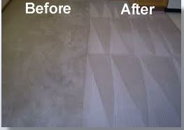  New Album of Keene Clean Janitorial Service 22260 Knollwood Dr. - Photo 1 of 6