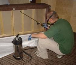  Profile Photos of Merlin Bed Bug Control 147 Stanley Rd - Photo 5 of 6