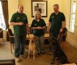 Merlin Bed Bug Control, Carshalton