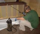 Merlin Bed Bug Control, Carshalton