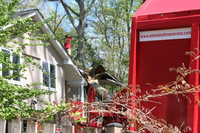  Profile Photos of Tree Service Annapolis P.O. Box 215, Glen Burnie, MD 21060-0215 - Photo 1 of 1