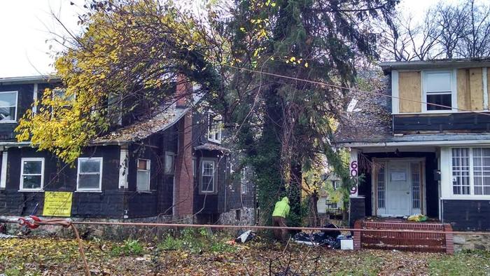  UNLIMBITED TREE SERVICE, INC. of Tree Service Annapolis P.O. Box 215, Glen Burnie, MD 21060-0215 - Photo 6 of 14