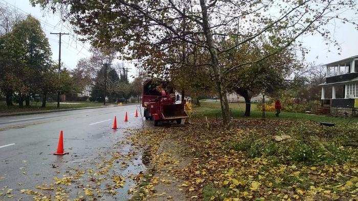  UNLIMBITED TREE SERVICE, INC. of Tree Service Annapolis P.O. Box 215, Glen Burnie, MD 21060-0215 - Photo 7 of 14