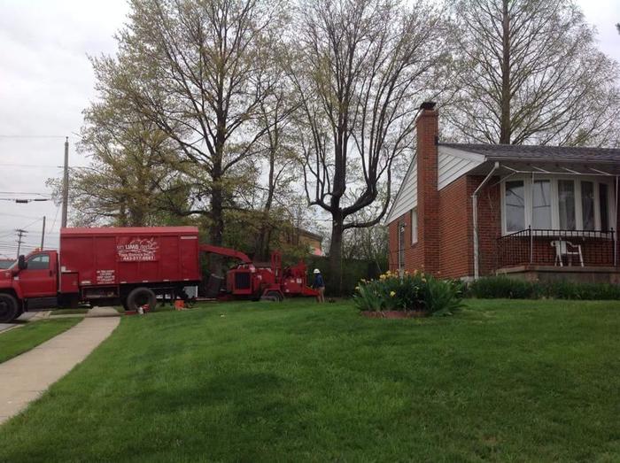 UNLIMBITED TREE SERVICE, INC. of Tree Service Annapolis P.O. Box 215, Glen Burnie, MD 21060-0215 - Photo 8 of 14