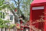  Tree Service Annapolis P.O. Box 215, Glen Burnie, MD 21060-0215 