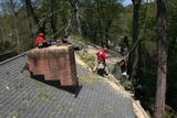 Tree Service Annapolis P.O. Box 215, Glen Burnie, MD 21060-0215 