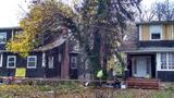  Tree Service Annapolis P.O. Box 215, Glen Burnie, MD 21060-0215 