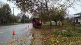  Tree Service Annapolis P.O. Box 215, Glen Burnie, MD 21060-0215 
