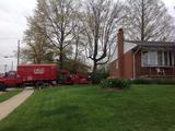  Tree Service Annapolis P.O. Box 215, Glen Burnie, MD 21060-0215 