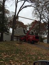 Tree Service Annapolis, Glen Burnie