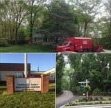 Tree Service Annapolis, Glen Burnie