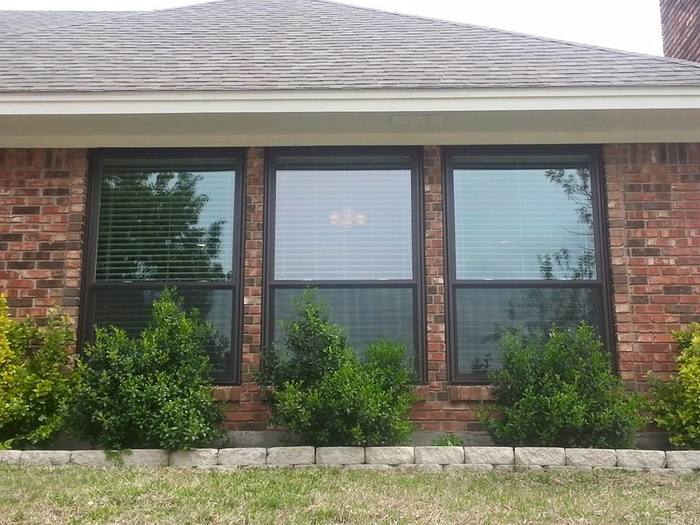  New Album of Affordable Replacement Window Systems 835 E Lamar Blvd, 125 - Photo 1 of 7