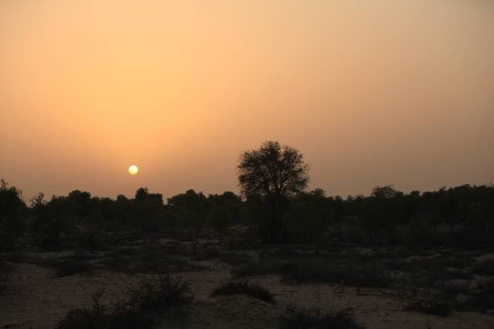  Profile Photos of Mushrif Equestrian and Polo Club Al Khawaneej Road - Photo 1 of 7