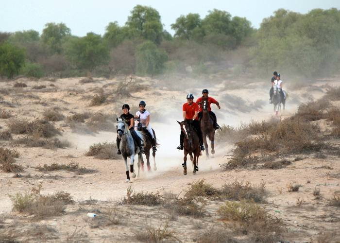  Profile Photos of Mushrif Equestrian and Polo Club Al Khawaneej Road - Photo 2 of 7