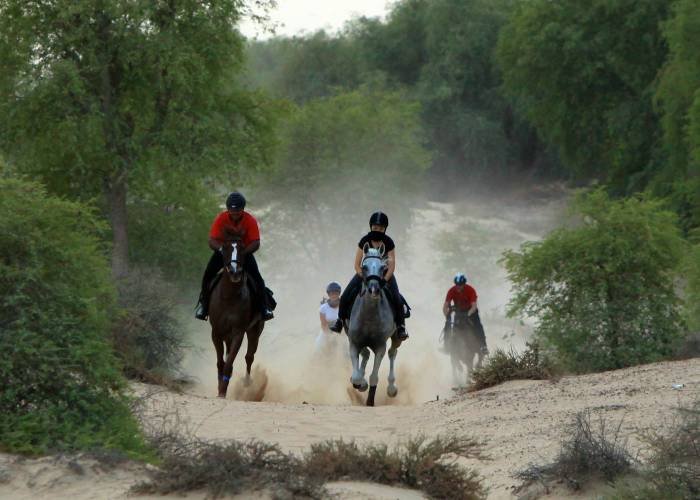  Profile Photos of Mushrif Equestrian and Polo Club Al Khawaneej Road - Photo 5 of 7
