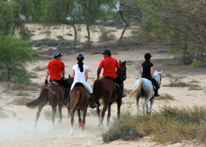  Profile Photos of Mushrif Equestrian and Polo Club Al Khawaneej Road - Photo 6 of 7