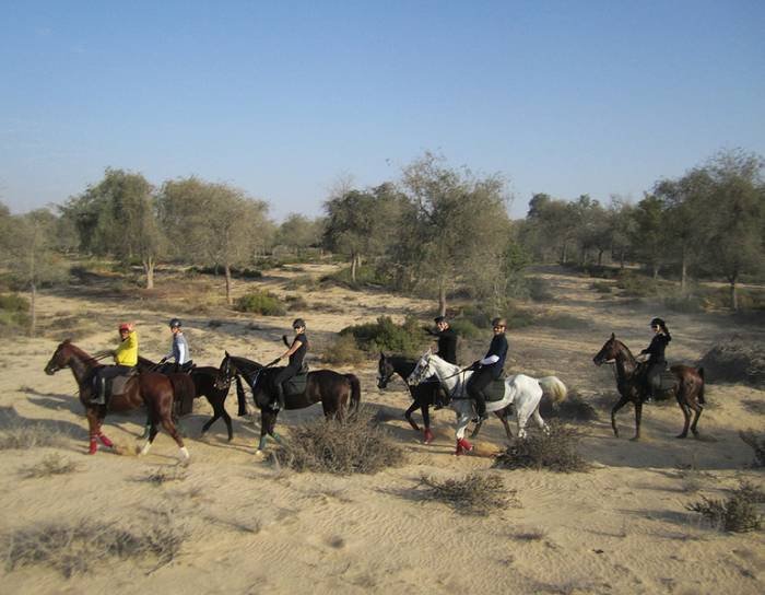  Profile Photos of Mushrif Equestrian and Polo Club Al Khawaneej Road - Photo 7 of 7