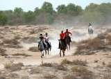  Mushrif Equestrian and Polo Club Al Khawaneej Road 