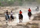  Mushrif Equestrian and Polo Club Al Khawaneej Road 