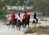 Mushrif Equestrian and Polo Club, Dubai