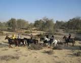 Mushrif Equestrian and Polo Club, Dubai