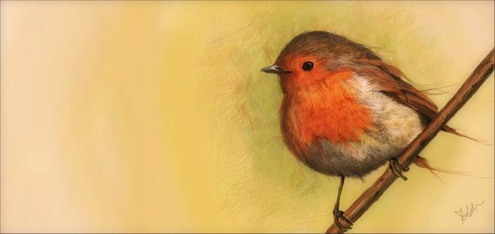  Digital art of Ioana D'art grivitei nr. 136 - Photo 3 of 11