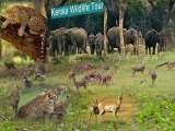 Kerala Travel Packages India, New Delhi