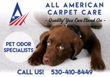 New Album of All-American Carpet Care