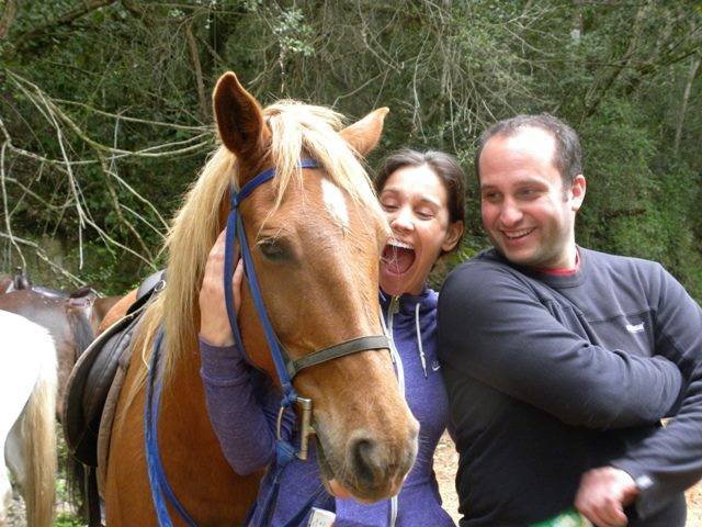  Pricelists of Garden Route Horse Trails 7 Passes rd Beervlei - Photo 2 of 10