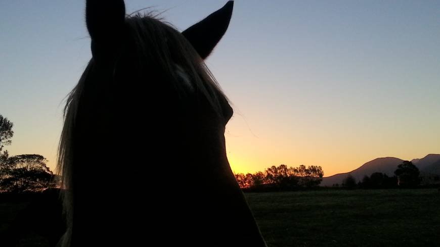  Pricelists of Garden Route Horse Trails 7 Passes rd Beervlei - Photo 3 of 10