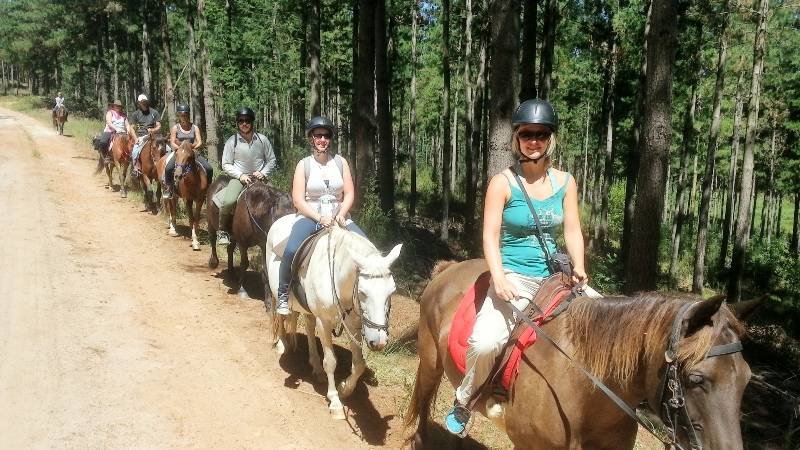  Pricelists of Garden Route Horse Trails 7 Passes rd Beervlei - Photo 4 of 10