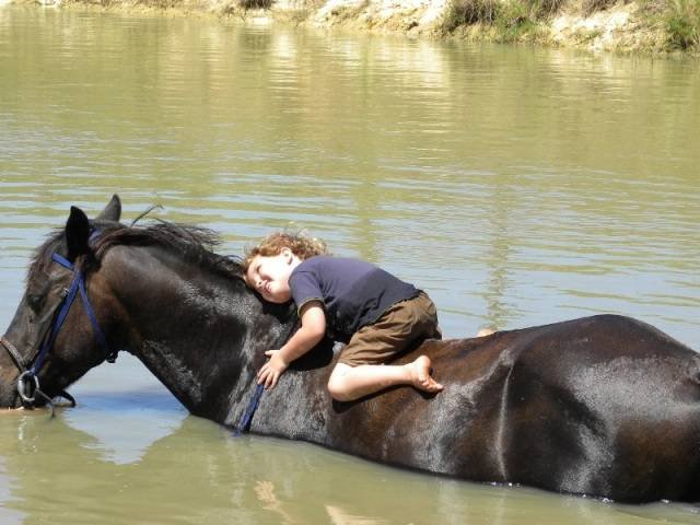  Pricelists of Garden Route Horse Trails 7 Passes rd Beervlei - Photo 5 of 10
