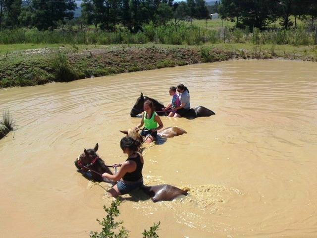  Pricelists of Garden Route Horse Trails 7 Passes rd Beervlei - Photo 10 of 10