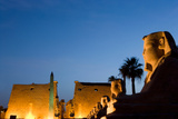 KET Travel, Cairo
