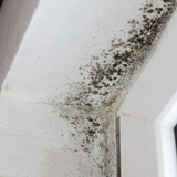 Home Insured Services, Inc., Newtown Square
