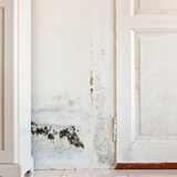 Home Insured Services, Inc., Newtown Square