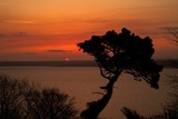 Birdsong,St Ives_Sunrise, Birdsong, St Ives, St Ives