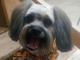 Beyond Grooming, San Marcos