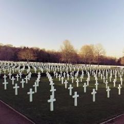  New Album of Law4Vets, LLC 169 Belhaven Falls Dr - Photo 3 of 4