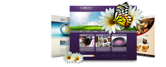  New Album of Web designing service provider company in Delhi NCR F-377, sec 63, noida - Photo 1 of 4