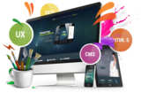 Web designing service provider company in Delhi NCR, noida