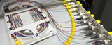 Elam Cabling Group, Gladesville