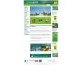 homepage, Collier Sports, King's Lynn