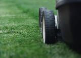 Middlesex Lawn & Landscaping LLC, South River