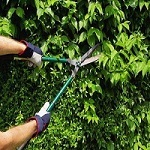 Middlesex Lawn & Landscaping LLC, South River