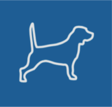 Your Property Hound, Red Hill